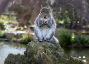 S&rsquo;en sortir grâce à la Fondation l’Écureuil